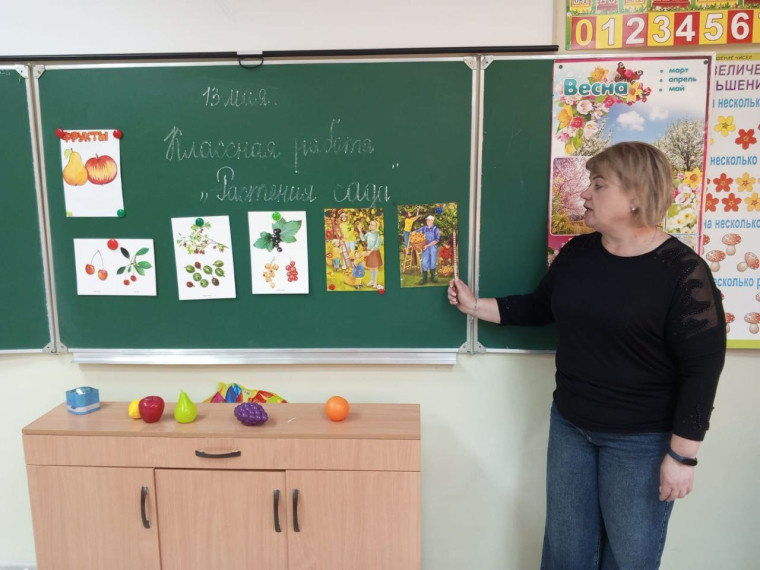 Урок «Окружающий природный мир».